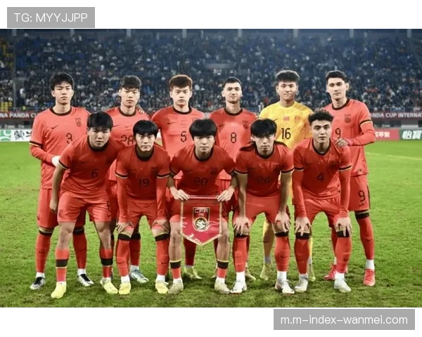 伊拉克亚洲球队技术特点鲜明 大赛经验影响稳定性评估